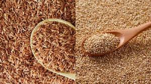 Premium red brown rice